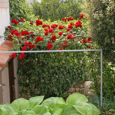 Mandre 523a * Колан