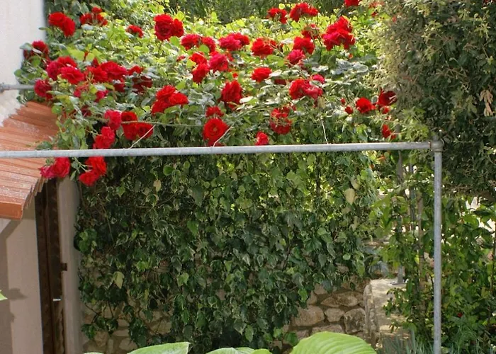 Mandre 523a * Колан